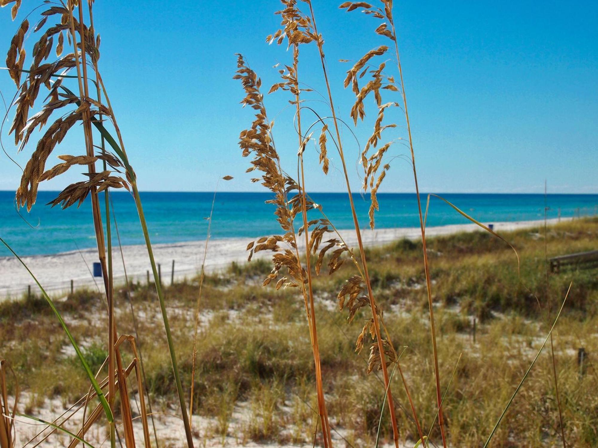 Ocean Reef 1202 * Panama City Beach